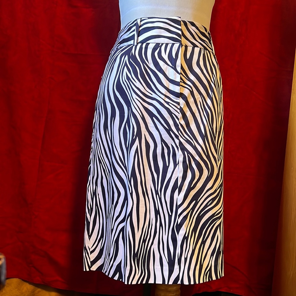 Navy striped Skirt